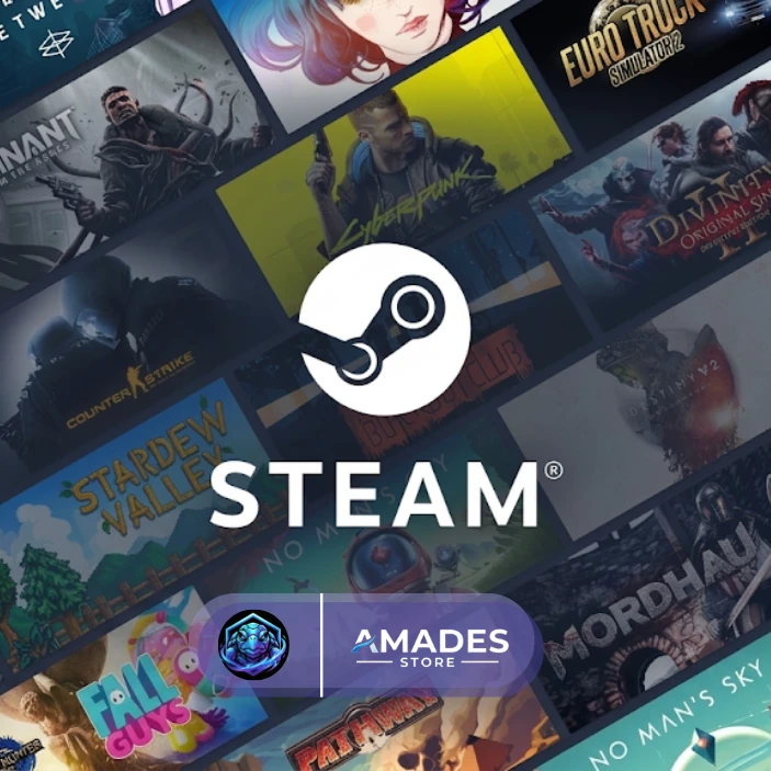 STEAM WALLET
